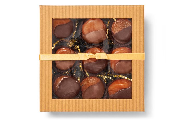 Chocolate Dipped Apricot Collection photo