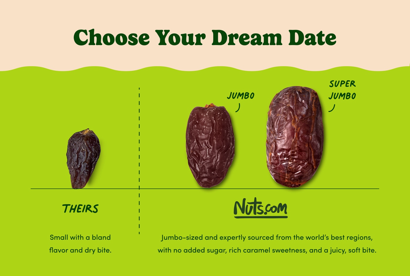 Jumbo Medjool Dates photo