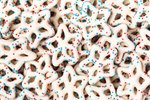 Image 6 - Red, White, & Blue Yogurt Star Pretzels photo