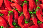 Image 4 - Hot Chili Pepper Gummy Candy photo