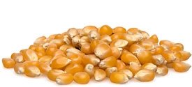 Mushroom Popcorn Kernels