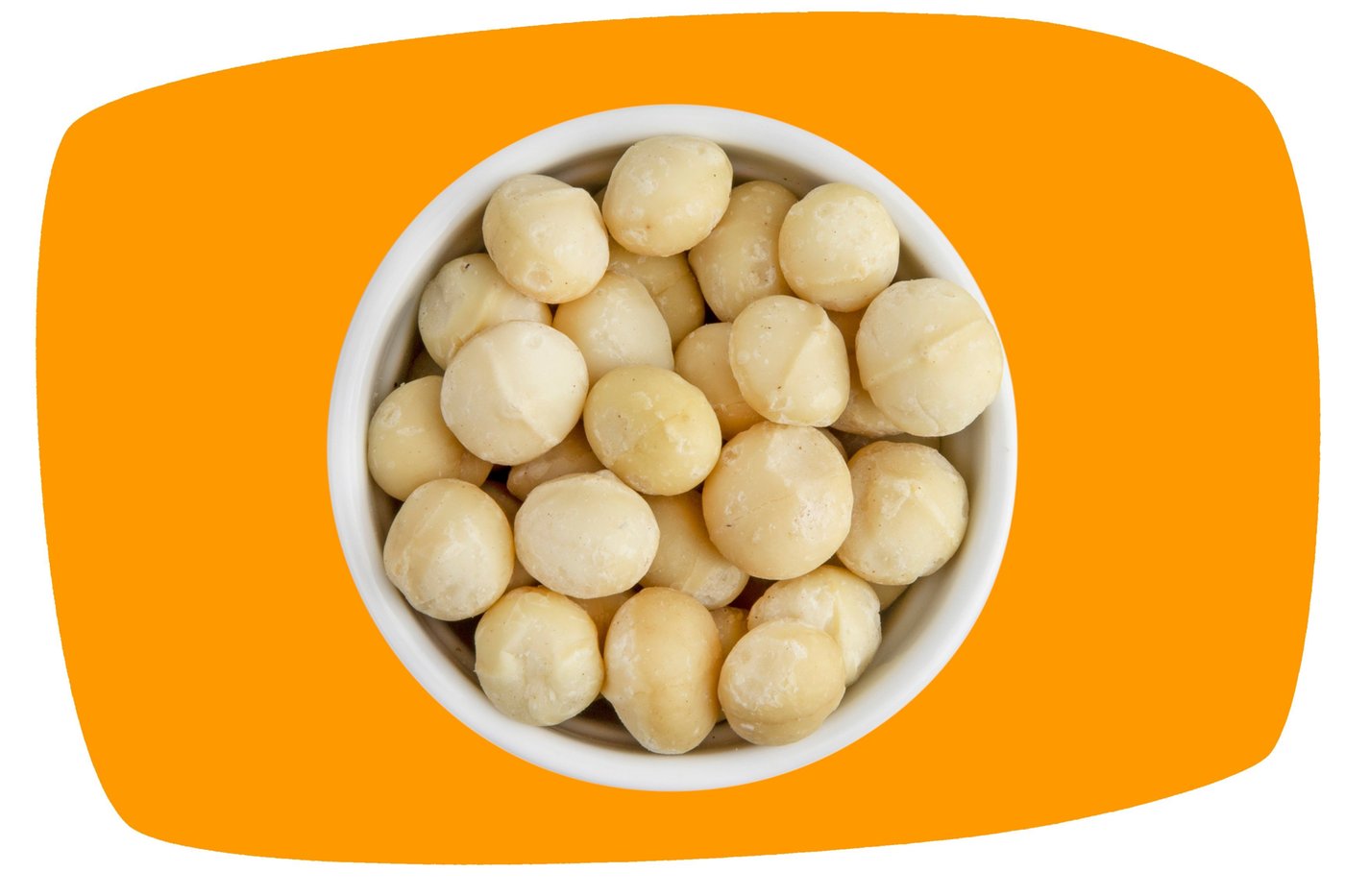Raw Macadamia Nuts photo