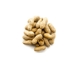 Jumbo Raw Peanuts (In Shell)