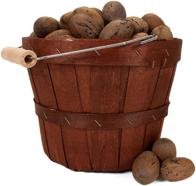 Pecan bucket