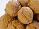 Walnuts