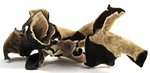 Image 1 - Dried Wood Ear Mushrooms photo