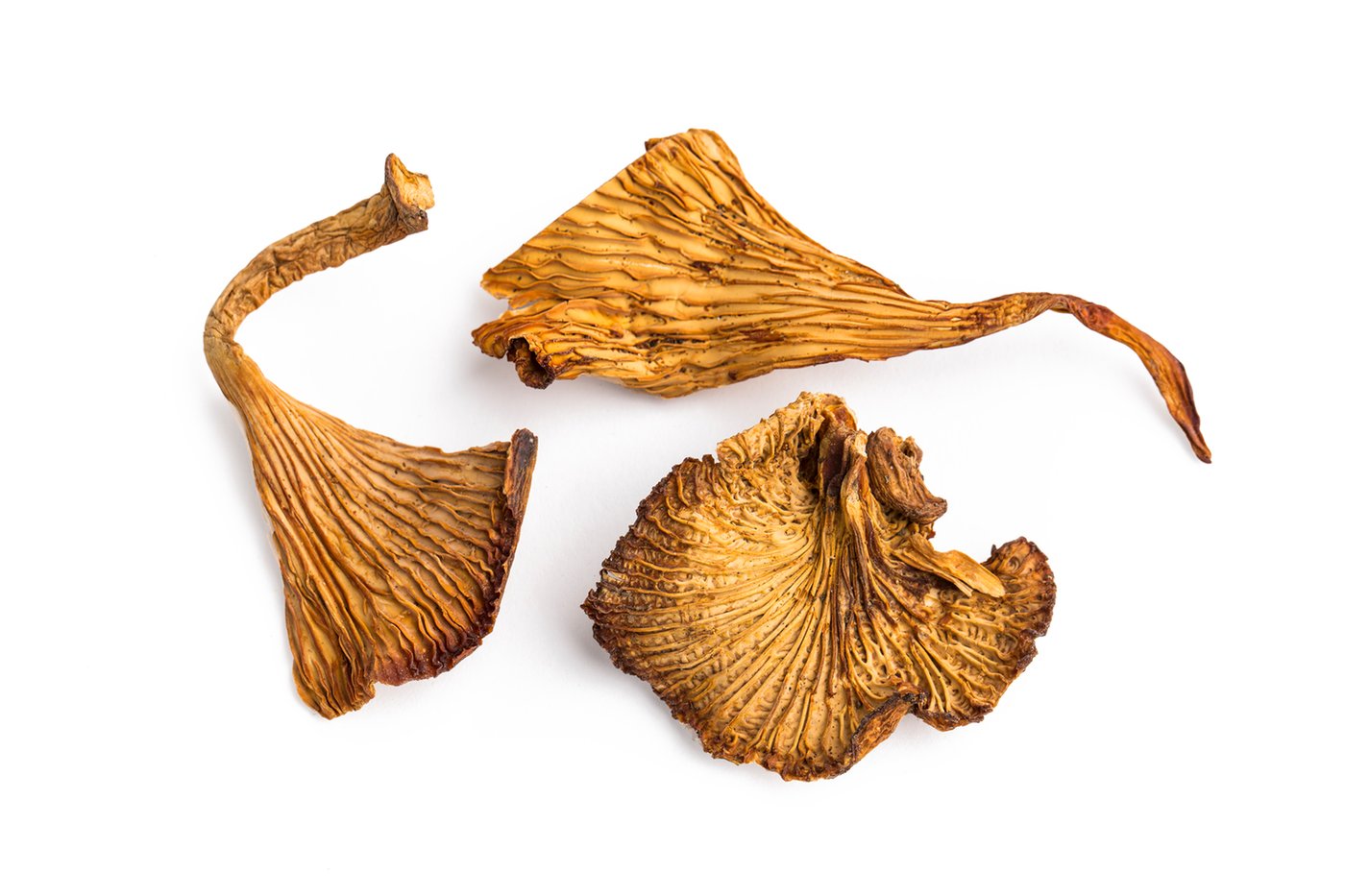 Dried Chanterelle Mushrooms photo