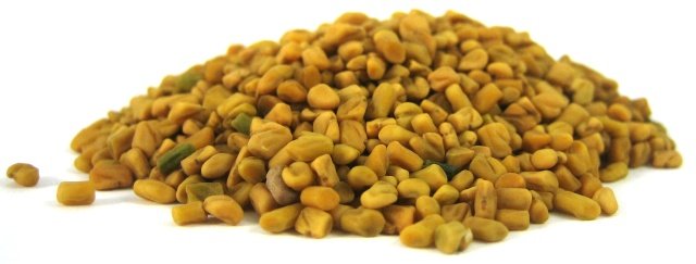 Fenugreek Seeds photo