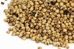 Image 4 - Organic Sprouted Sorghum photo