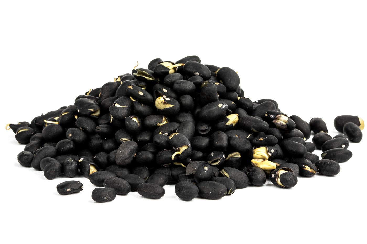 Organic Sprouted Black Beans photo