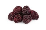 Image 1 - Freeze-Dried Blackberries photo