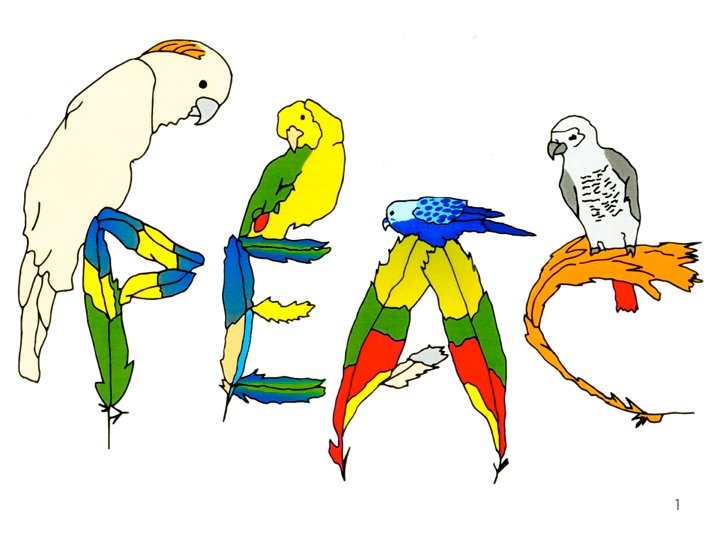 Nuts for Parrot Education and Adoption Center image zoom