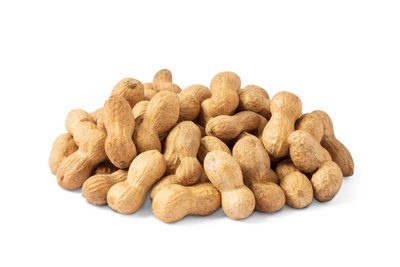 Organic Raw Peanuts (In Shell)