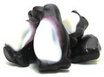 Image 1 - Black & White Gummy Peachy Penguins photo