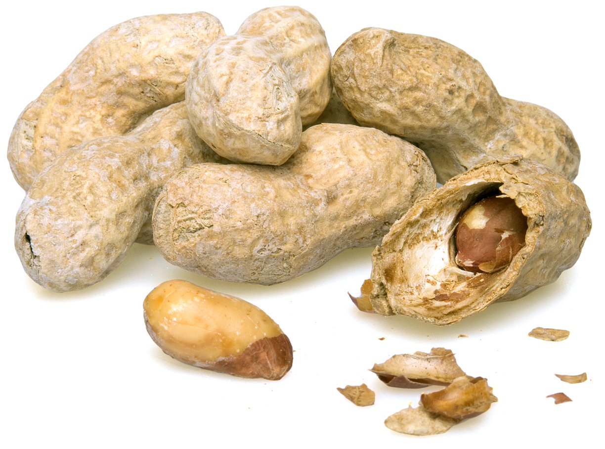Roasted Peanuts (Salted, In Shell) photo
