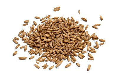 Organic Sprouted Oats (Hulled)