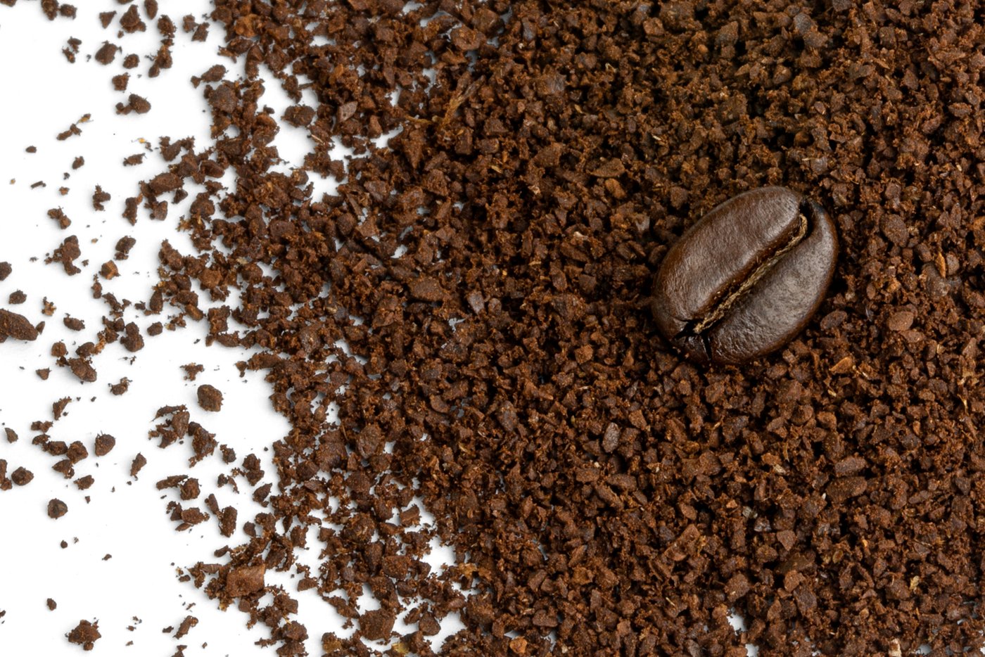 Decaf Ethiopian Harrar Coffee photo