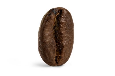 Decaf Ethiopian Harrar Coffee
