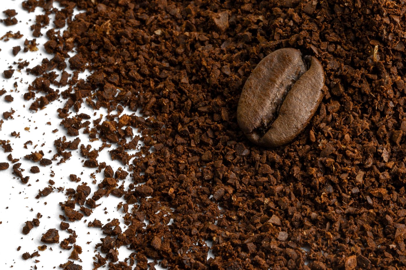 Decaf Sumatran Mandheling Coffee photo