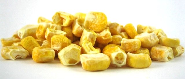 Freeze-Dried Sweet Corn photo