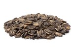 Image 1 - Dill Pickle Sunflower Seeds (In Shell) photo