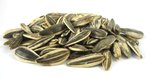 Image 1 - Israeli Sunflower Seeds (Salted, In Shell) photo