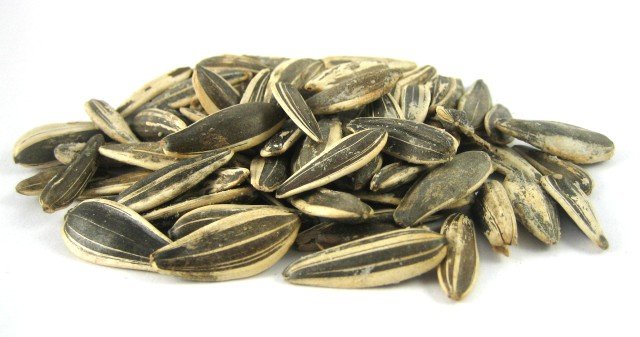 Israeli Sunflower Seeds (Unsalted, In Shell) photo