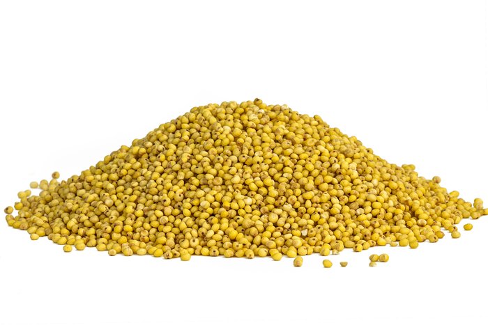 Organic Sprouted Millet photo