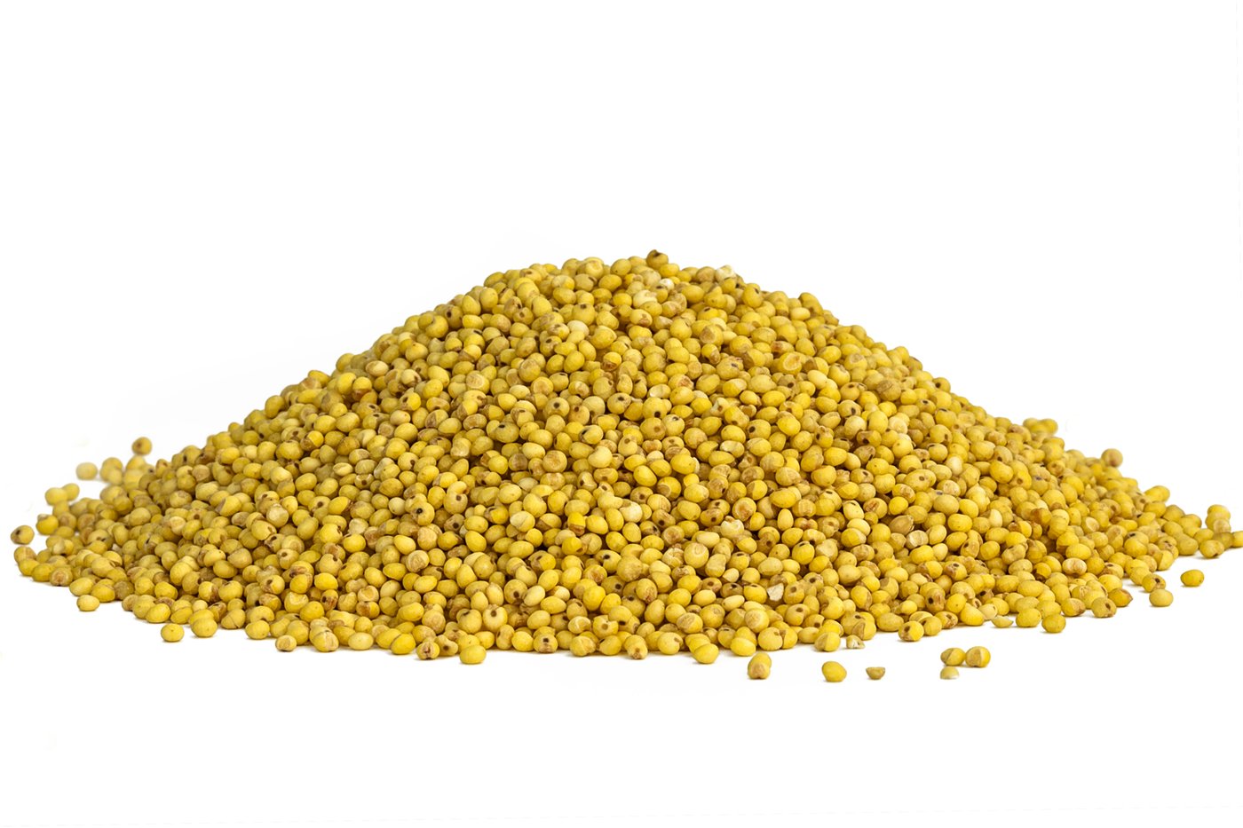 Organic Sprouted Millet image zoom