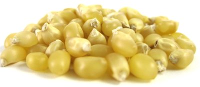 White Popcorn Kernels