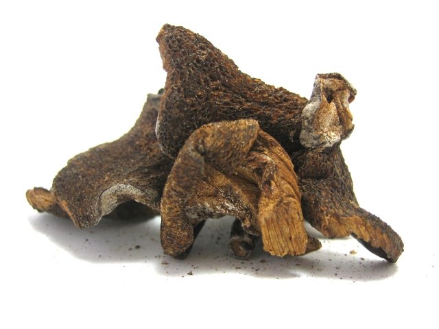 Dried Porcini Mushrooms photo