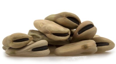 Fava Beans (Giant)