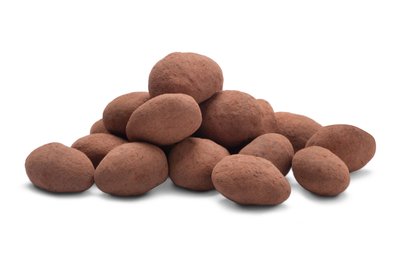 Cocoa Dusted Almonds