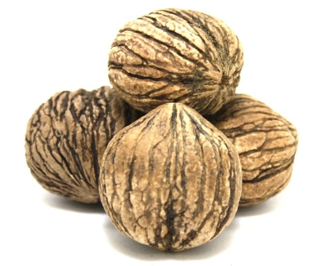 Black Walnuts (In Shell) photo