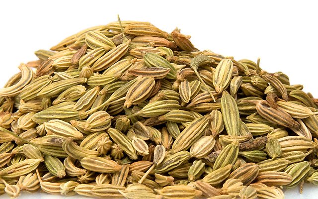 Fennel Seeds photo 1