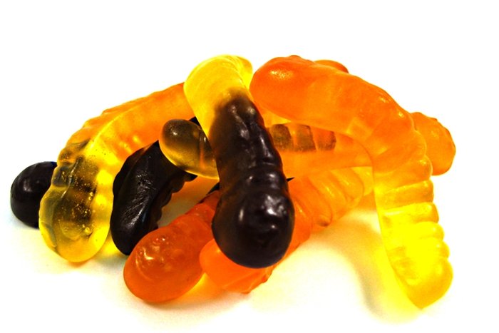 Fall Gummy Worms photo