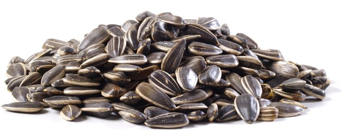 Jumbo Roasted Sunflower Seeds (Unsalted, In Shell) photo