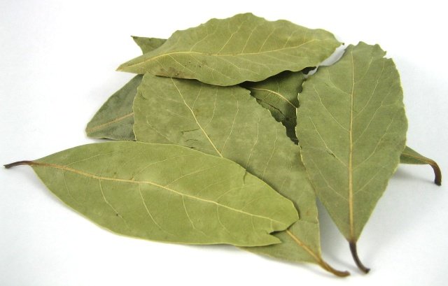 Bay Leaves (Laurel Leaves) image normal