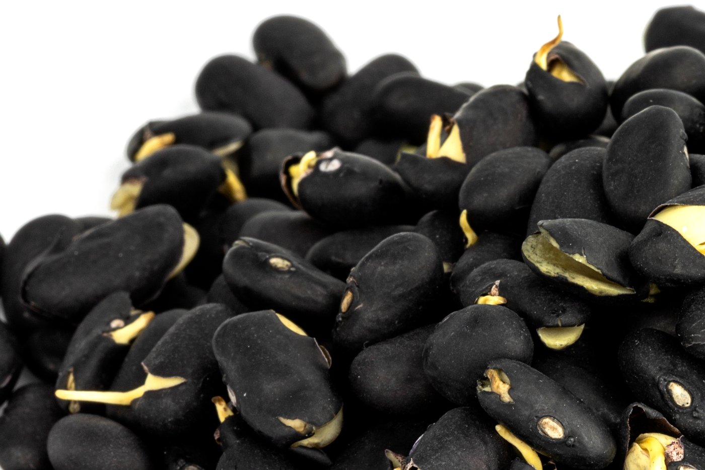 Organic Sprouted Black Beans photo