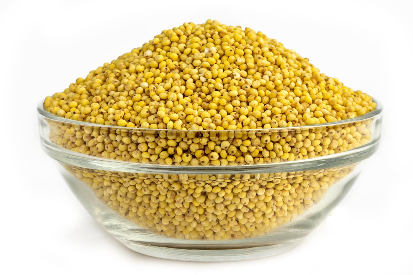 Organic Sprouted Millet photo