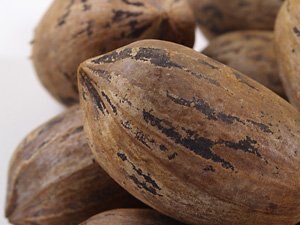 Organic Pecans (Raw, In Shell) image zoom