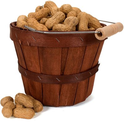 Bucket of Peanuts
