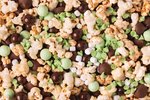 Image 3 - Peppermint Hot Cocoa Snack Mix photo