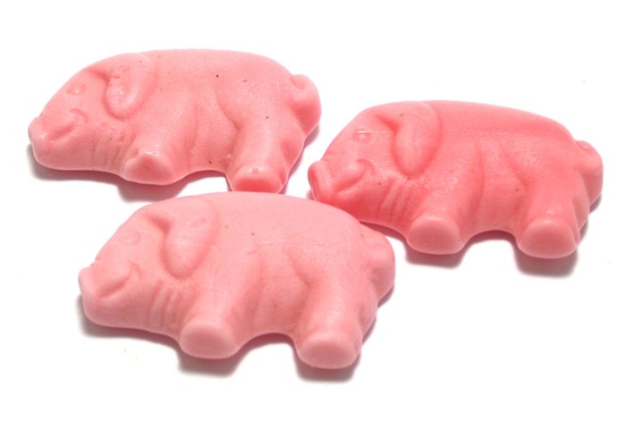 Gummy Pigs photo