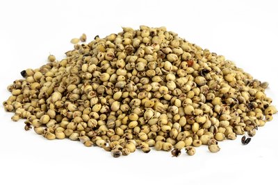 Organic Sprouted Sorghum