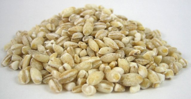 Organic Barley image zoom