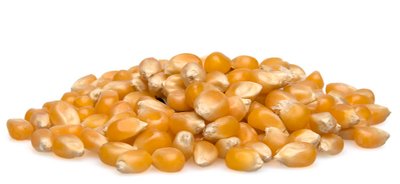 Organic Popcorn Kernels