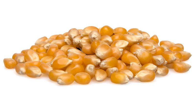 Organic Popcorn Kernels photo