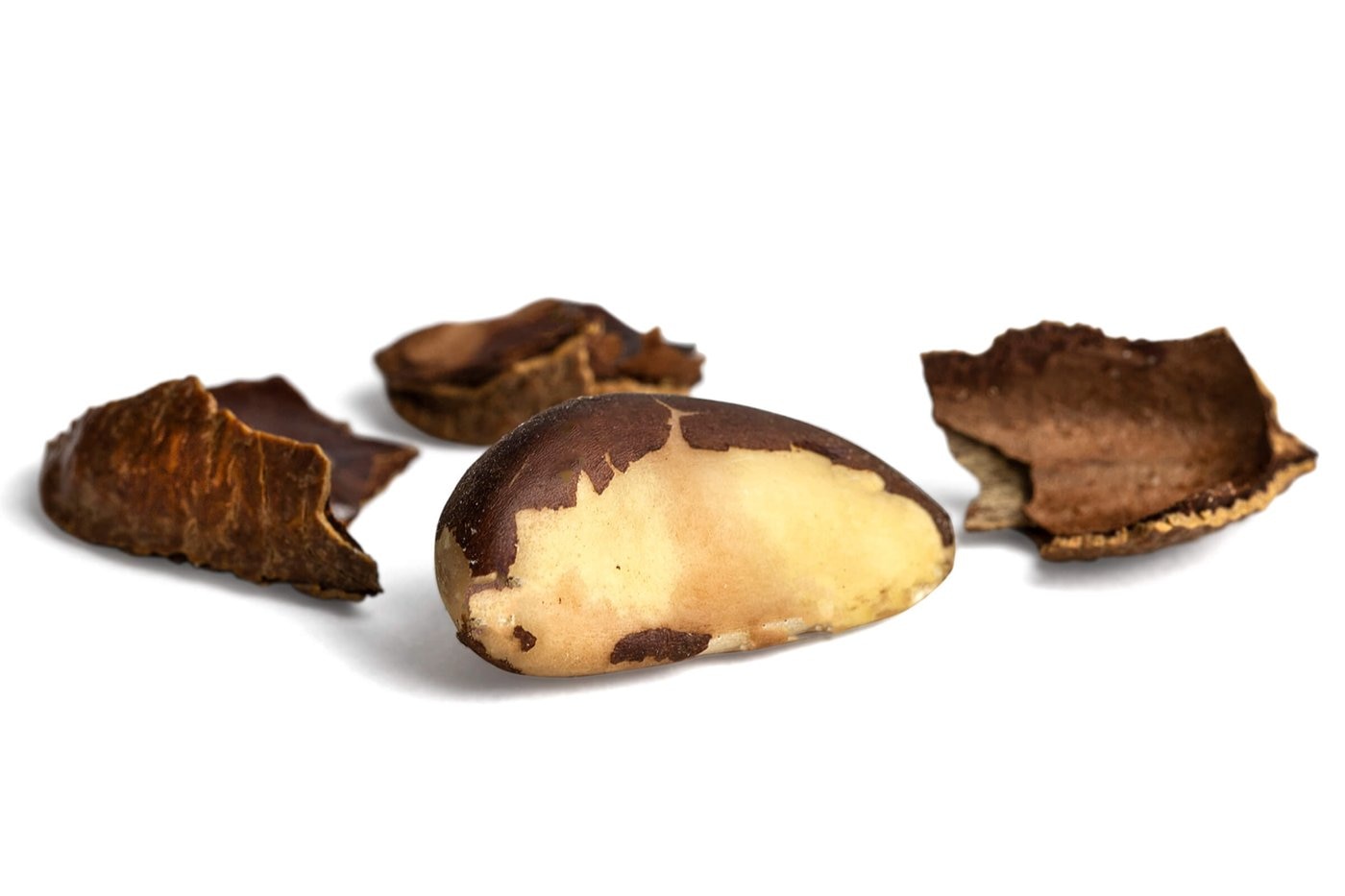 Brazil Nuts (In Shell) photo