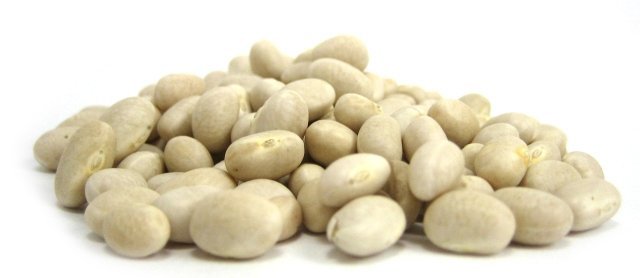 Organic Navy Beans photo